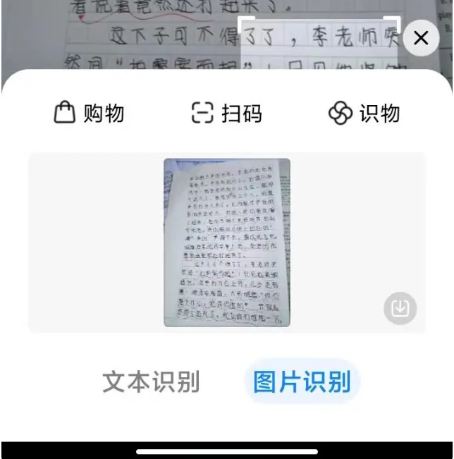 金鸣表格文字识别系统图片